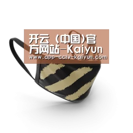 成人布口罩