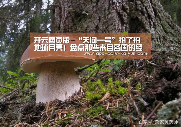 开云网页版-“天问一号”拍了拍地球月亮!盘点那些来自各国的经典地月合影(图2) 开云网页版