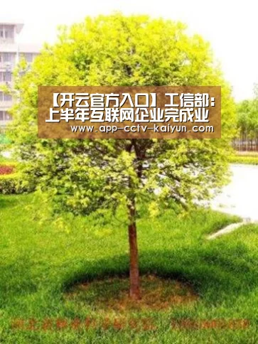 【开云官方入口】工信部:上半年互联网企业完成业务收入5907亿元 同比增长14.1%(图2) 开云官网