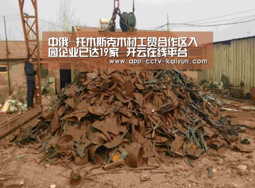 中俄-托木斯克木材工贸合作区入园企业已达19家-开云在线平台
