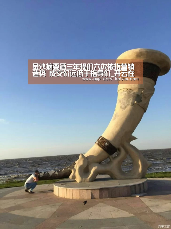 金沙摘要酒三年提价六次被指营销造势 成交价远低于指导价_开云在线平台