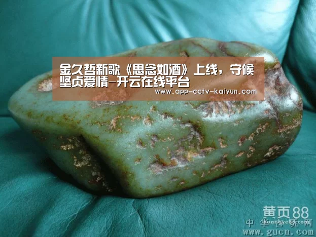 开云网页版
