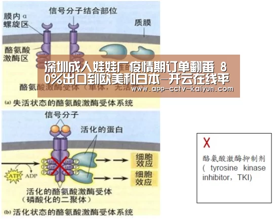 深圳成人娃娃厂疫情期订单翻番 80%出口到欧美和日本-开云在线平台(图2) 开云网页版