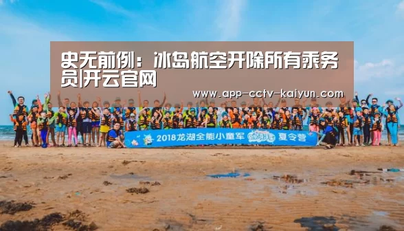 史无前例：冰岛航空开除所有乘务员|开云官网