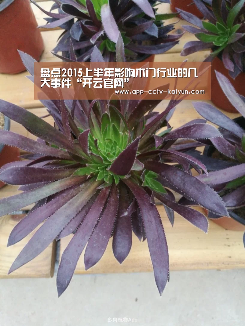 盘点2015上半年影响木门行业的几大事件“开云官网”(图2) 开云在线平台