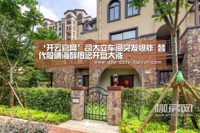 ‘开云官网’司太立车间突发爆炸 替代股碘海醇概念开盘大涨