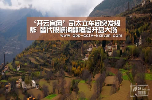 ‘开云官网’司太立车间突发爆炸 替代股碘海醇概念开盘大涨(图2) 开云官网