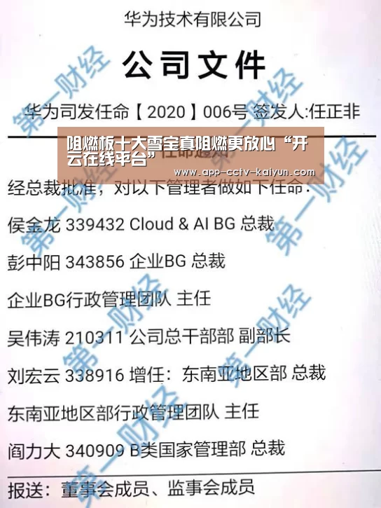 开云网页版