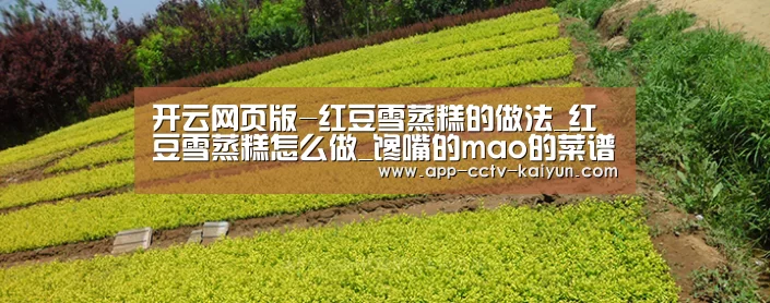 开云在线平台