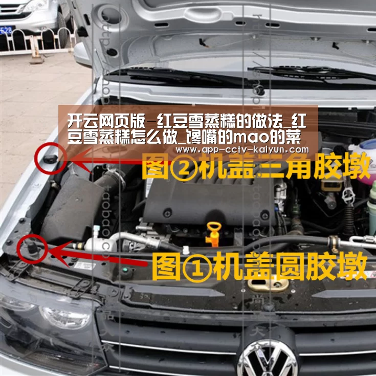 开云官方入口