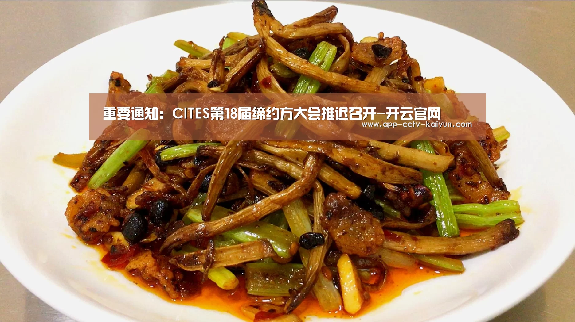 开云在线平台