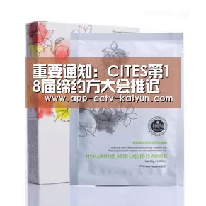 开云在线平台