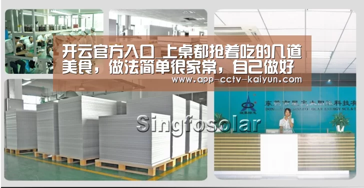 开云网页版